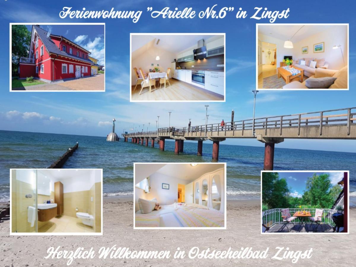 Arielle Nr 6 - Fuer Die Schoenste Zeit Des Jahres - Zingst Εξωτερικό φωτογραφία